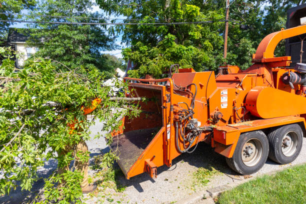 Best Tree Care Services  in Friedens, PA